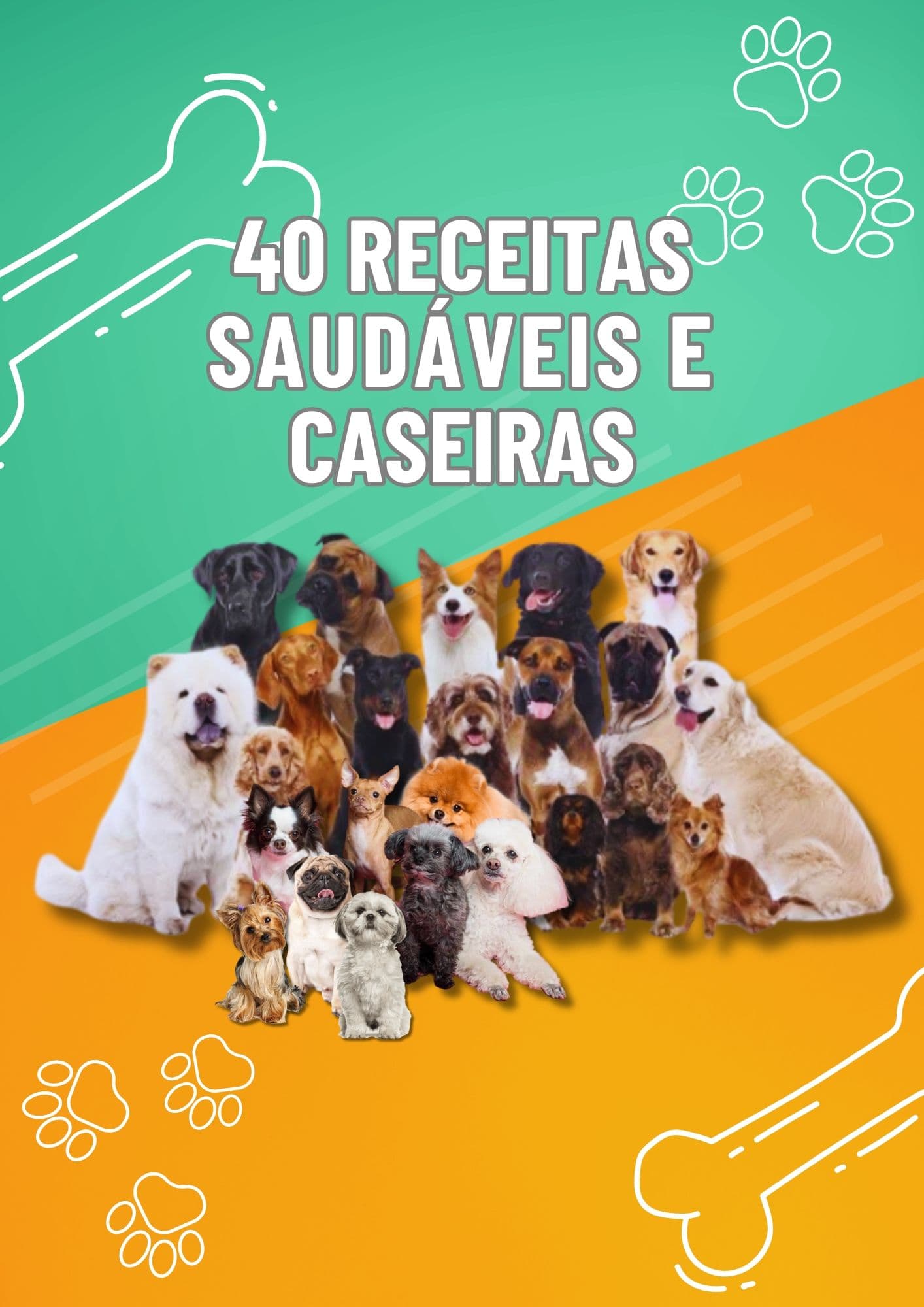 40 receitas saudáveis para pets