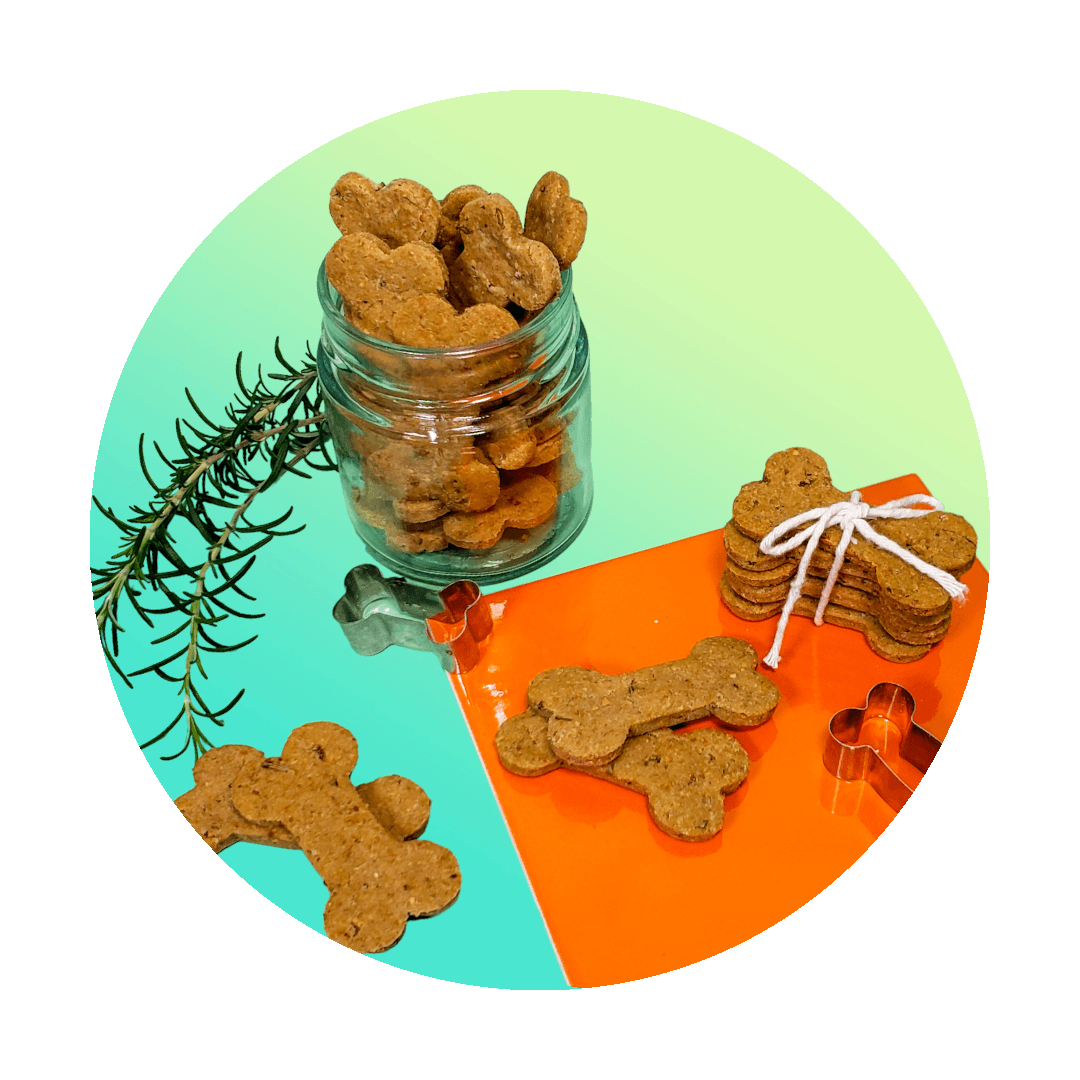 Curso de biscoito para cachorro | Biscoito Pet