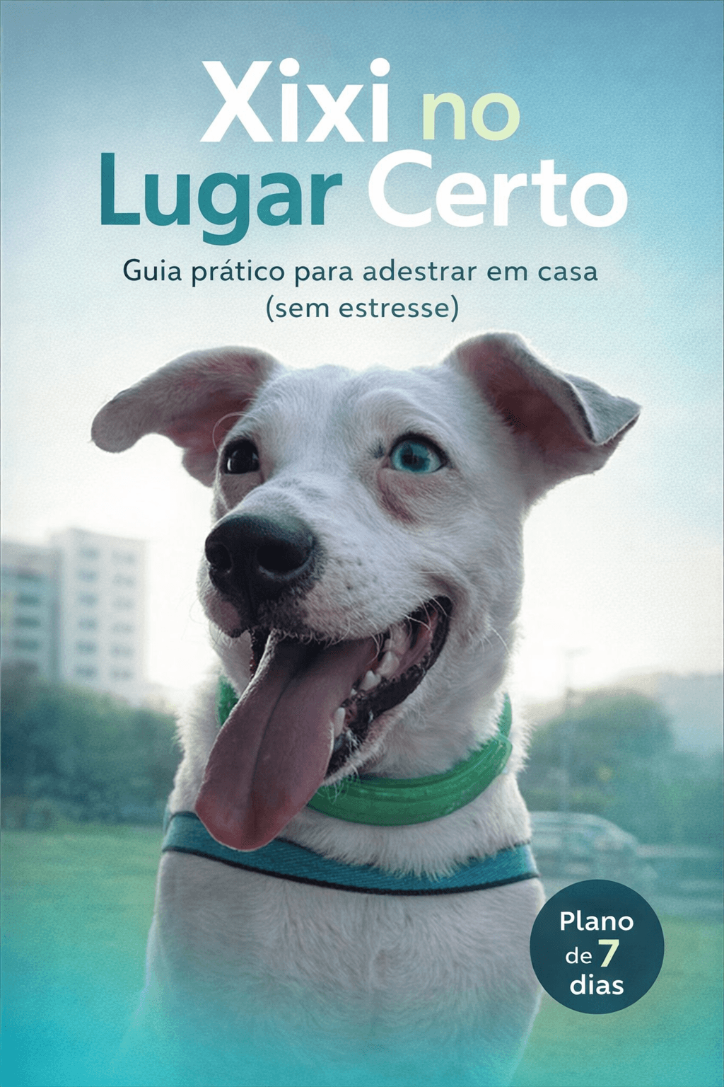 Xixi no lugar certo - Guia prático para adestrar em casa (sem estresse)