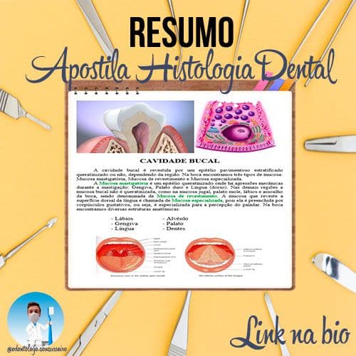 Resumo - Histologia Dental e Estruturas - Odontologia