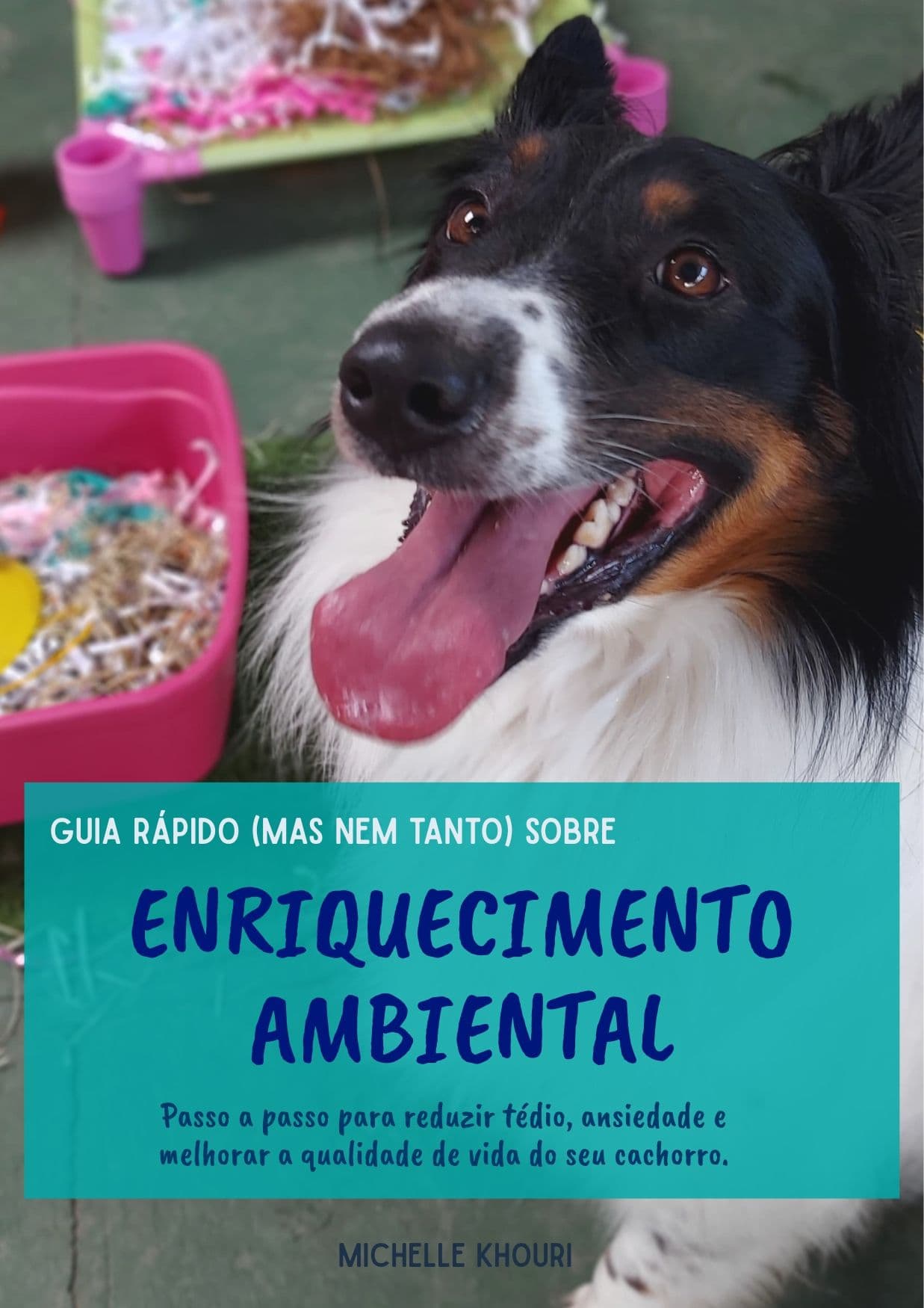 Guia rápido (mas nem tanto) sobre Enriquecimento Ambiental para cães