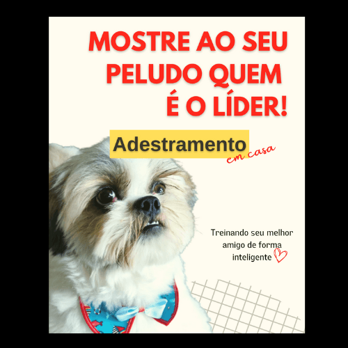 Adestramento: Mostre ao seu Peludo quem é o Líder!