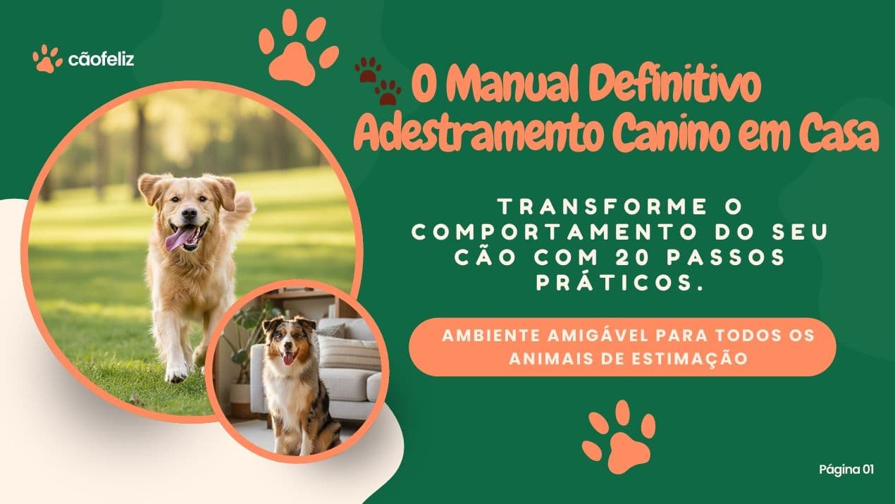 🐾 O Manual Definitivo Adestramento Canino em Casa