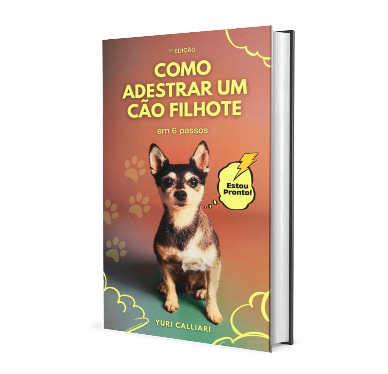 Adestre seu Cão Filhote em 6 passos simples